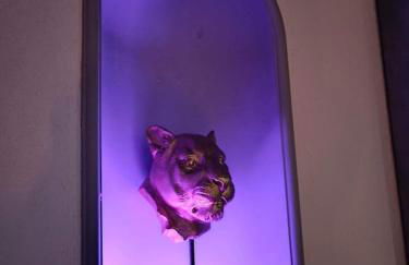 House 3km from the 24 Hours of Le Mans circuit - Photo 14