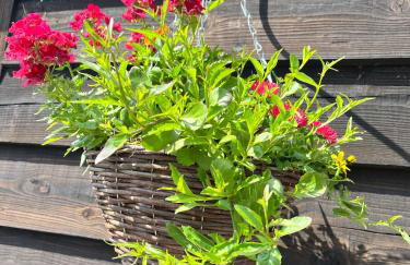 Lilac Cottage - Foto 36