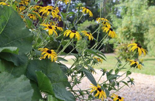 The Old Stables - Foto 38