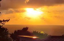 La Crevette - Foto 12