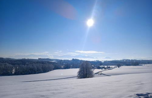 Knoglerhof am Rinser See - Foto 18