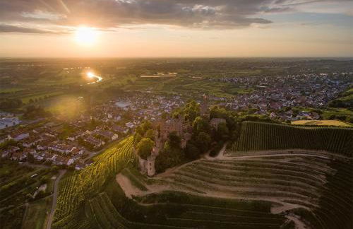 SK Ferienapartments Kappelrodeck - Photo 32