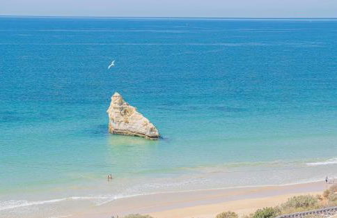 Apartamento Ocean View - Foto 39