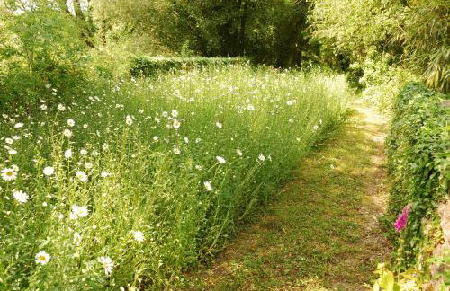Bowgie at Trewerry Cottages - Away from it all, close to everywhere - Foto 17