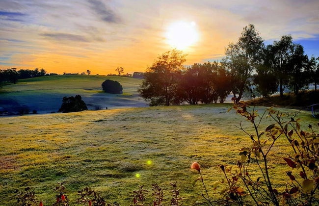 Jilly Park Farm Interactive Experience - Foto 4