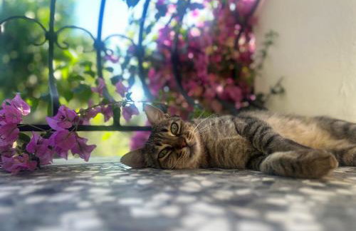 A casa d Irene - Photo 20