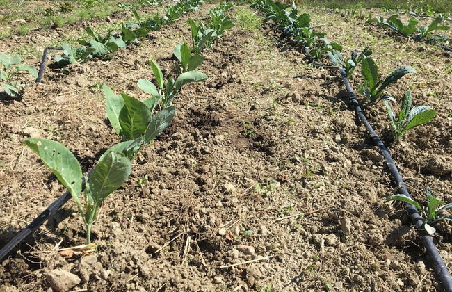 Agriturismo La Casina della Burraia - Photo 51