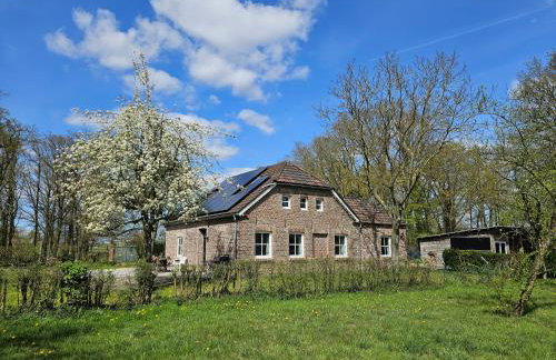Die alte Waldkate - Windschief und mitten in der Natur - Foto 1