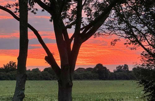 Woodland House - Uk48581 - Foto 5