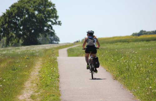 Müritzbrise 3 - Foto 11