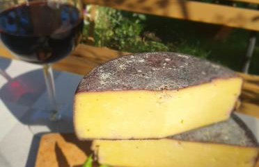 Zielono Mi - Dom Gościnny w Łapalicach - Foto 23