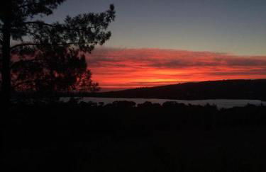 Monte da Tojeirinha - Foto 13