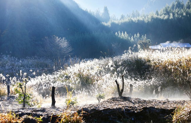 The Lodge MIWA - Foto 20