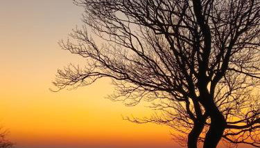 Ferienwohnung BoddenBee - Foto 5