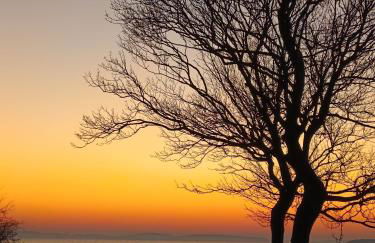 Ferienwohnung BoddenBee - Foto 1