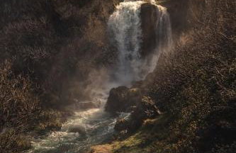 El Paraíso Del Rey - Foto 69