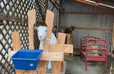 Little House in the Woods - Foto 22