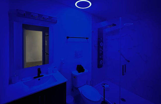 Experience Luna Sky! 65" TV Bar BBQ go FL Keys - Foto 36