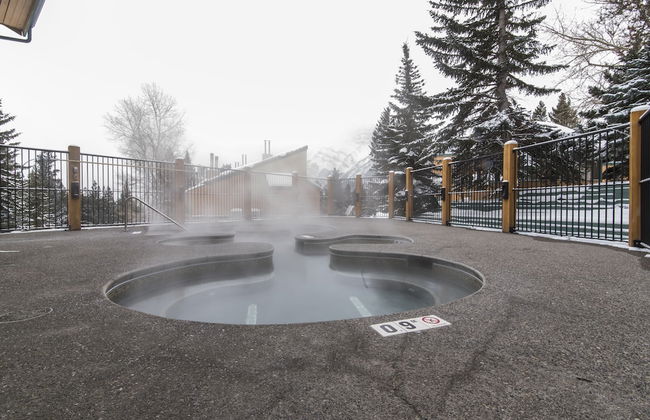 Douglas Fir Resort and Chalets - Photo 27