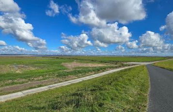 Oase am Deich - Photo 8