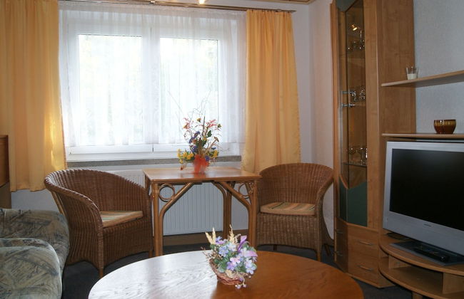 Ferienwohnungen Elsterblick - Foto 8