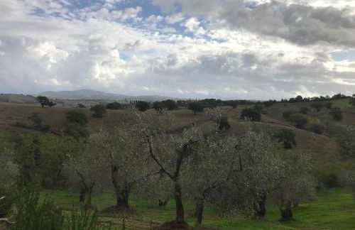 Podere Pini - Foto 9