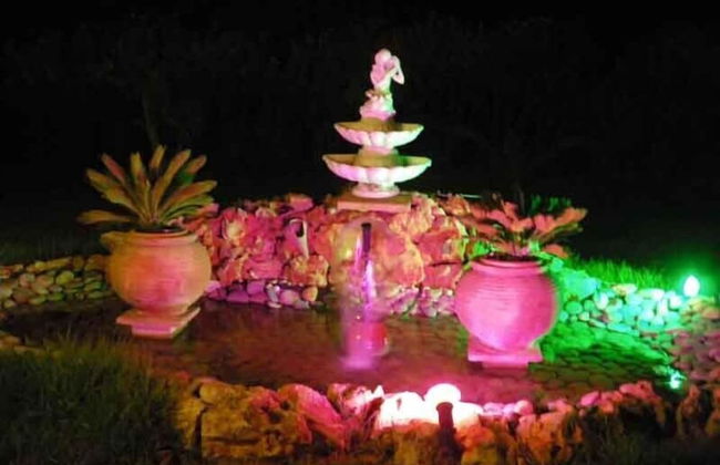 Villa Rita Apartments - Photo 36