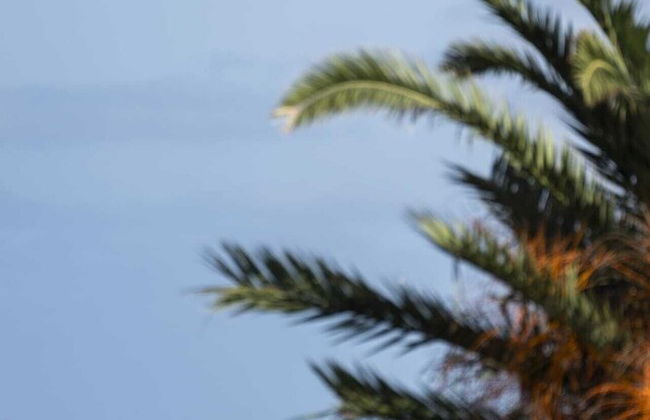 In the Heart of Porto Santo - Casa da Maresia - Foto 28