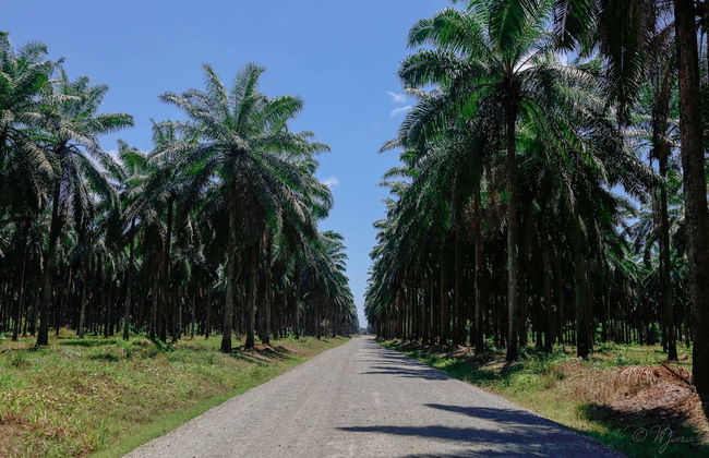 2 Comfortable New Villas Near Pacific, Private Pool With Waterfall! - Photo 22