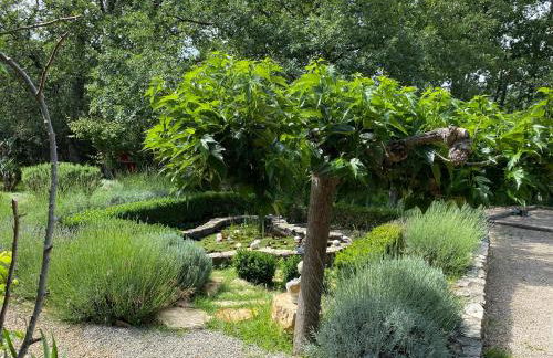 La Magistrale - Foto 18