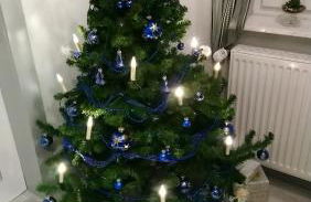 Ferienhaus Scheerer - Foto 21