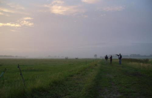 Hofboddenblick - Foto 32