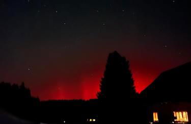 Ferienwohnung am Hirschenmoor - Foto 32