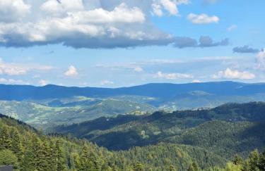 Kokuszka Village - domki drewniane - Foto 32