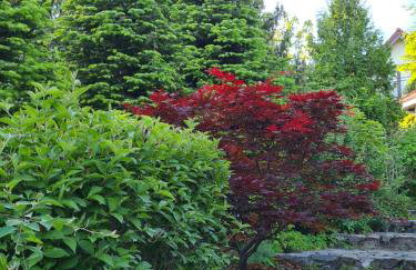 Sowi Dworek - Foto 58