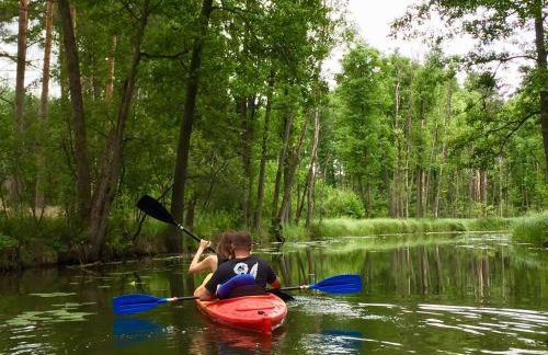 Sosnowy Zakatek - Foto 41