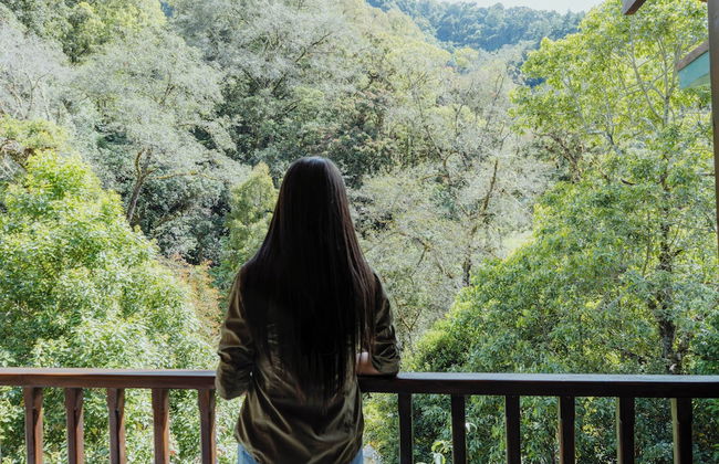 Cabinas El Quetzal - Foto 6