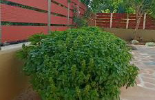 Country Nest - Foto 13