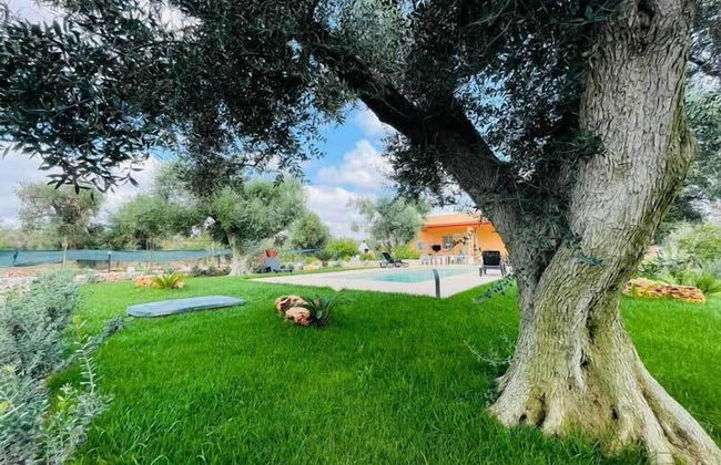 3724 All' Ombra Degli Ulivi by Barbarhouse - Foto 33