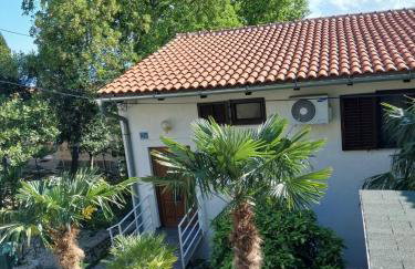 Golden Oasis - Foto 27