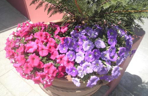 Haridimos Apartments - Foto 41