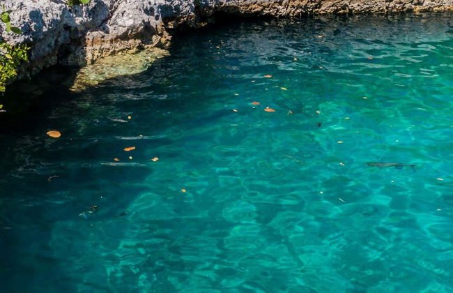 Escursione a Caleta Buena - Foto 1