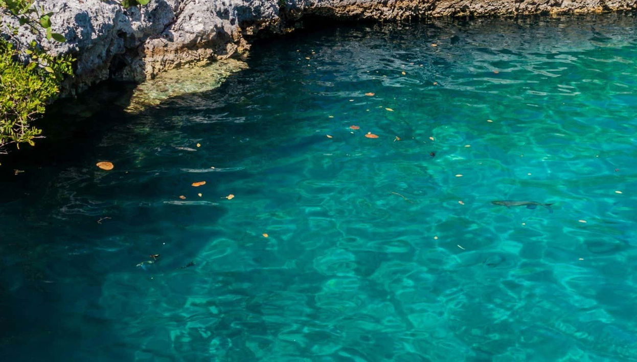 Escursione a Caleta Buena