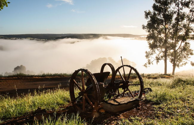 Balingup Heights Hilltop Forest Cottages - Foto 49