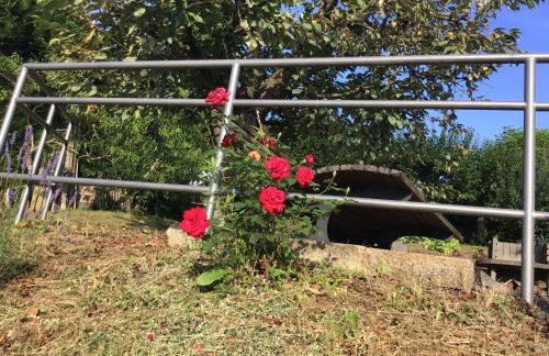 Ferienwohnung Wagner 4 Sterne - Photo 21