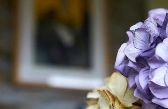 La Era De Somao - Photo 58