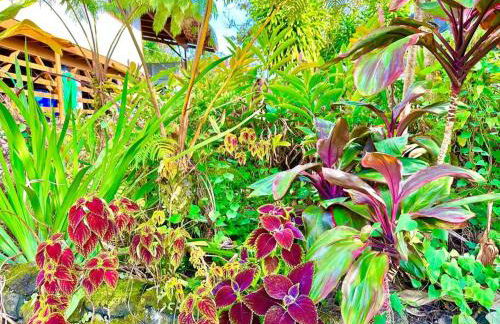 Puna Zen Botanical Garden Retreat - Foto 46