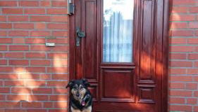 Wohnung "Orther Hafen" in Bannesdorf auf Fehmarn - Foto 3