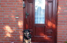 Wohnung "Orther Hafen" in Bannesdorf auf Fehmarn - Foto 3