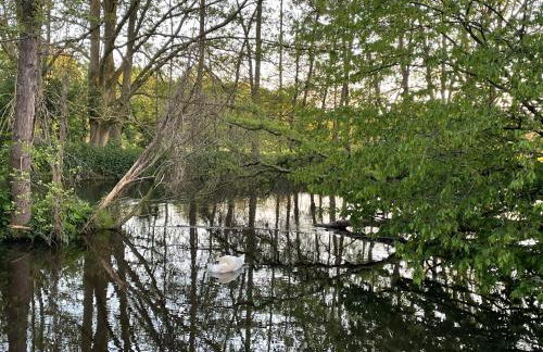 TelmiHome Brüggen, moderne Ferienwohnung mit Sonnenterrasse & Glasfaser-WLAN - Foto 22